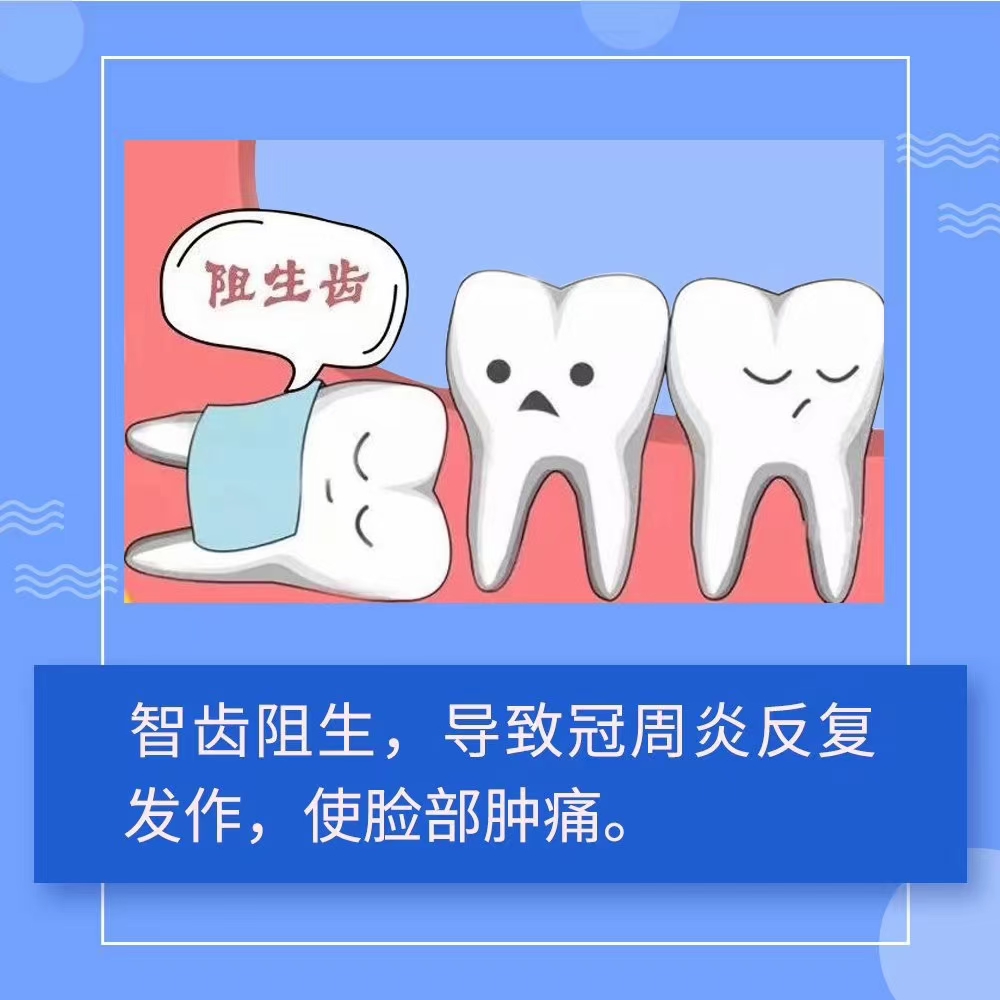 图解|智齿还是拔吧！(图2)