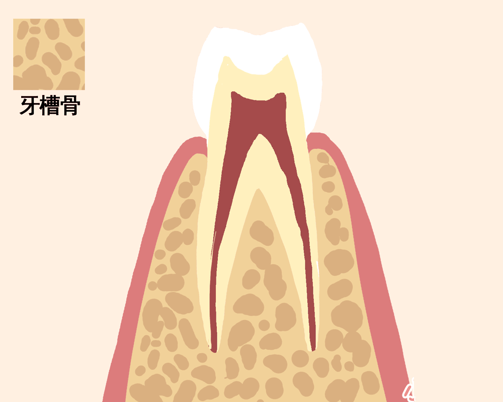 老掉牙！真的吗？(图1)