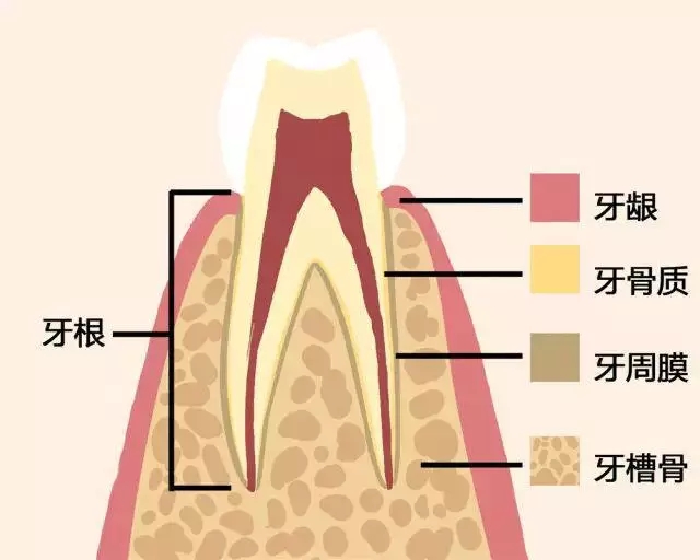 老掉牙！真的吗？(图2)