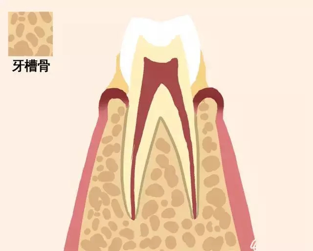 老掉牙！真的吗？(图4)