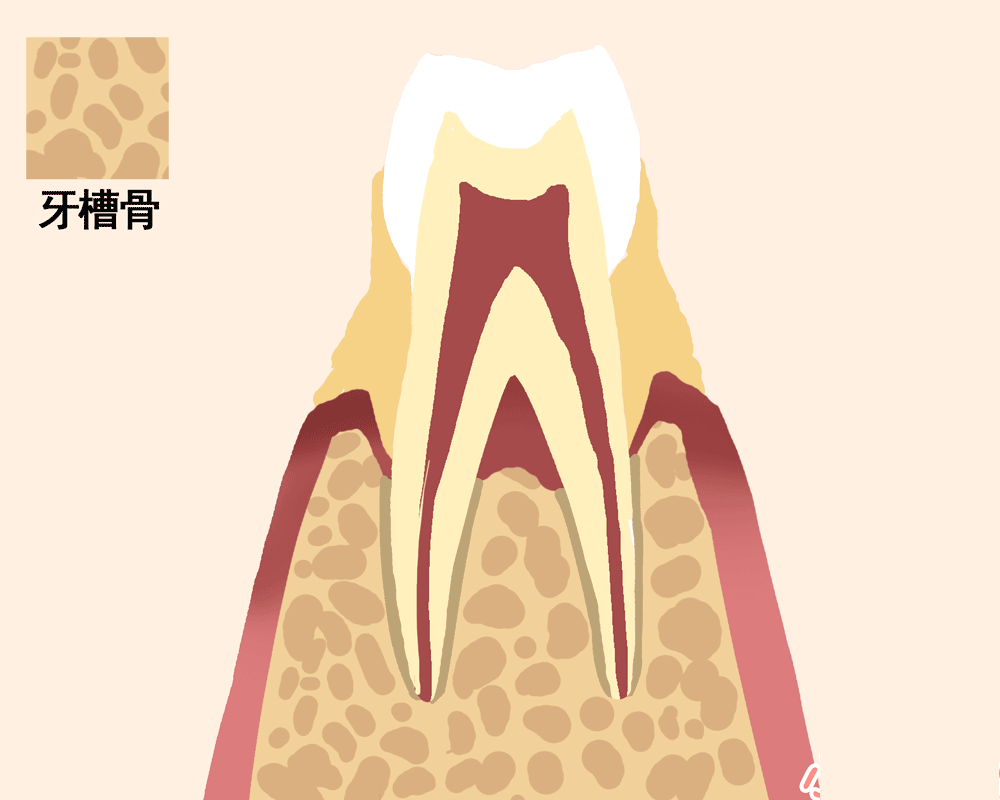 老掉牙！真的吗？(图6)