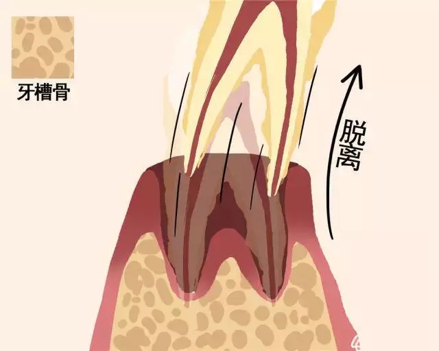 老掉牙！真的吗？(图8)