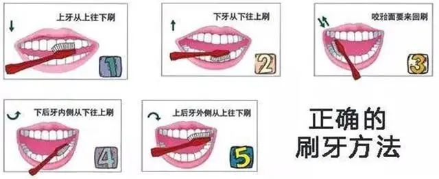 看了这些,你还敢不刷牙吗?(图8) 看了这些,你还敢不刷牙吗?(图8)